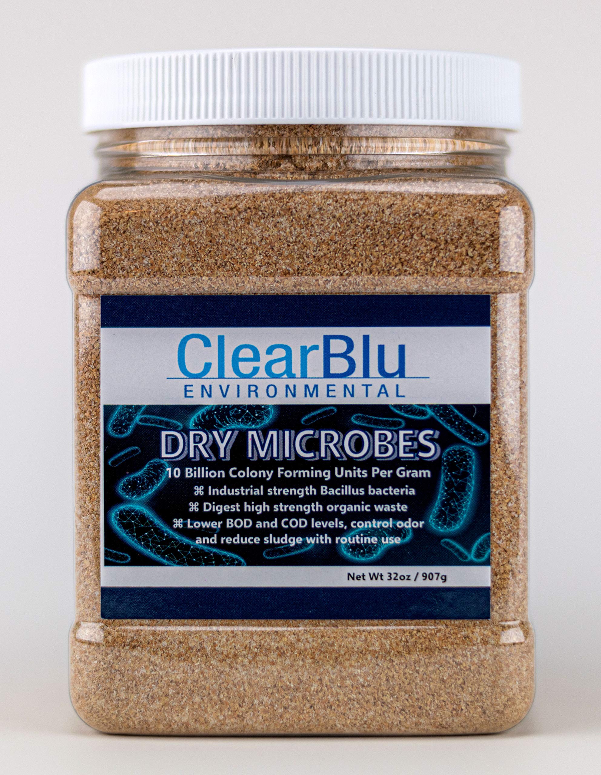 バクテリア 親株サイズ Amazon.co.jp: ClearBlu 環境 32オンス ドライ微生物 100億CFU